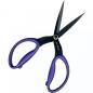 Preview: Perfect Scissors by Karen Kay Buckley